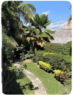 “Iguana rooftop” Apartament - Image 5