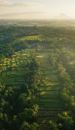 Aerial of Bali rice terraces at golden hour with volcano in the mist