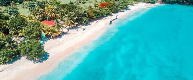 Aerial view of a Caribbean beach lined with palm trees and beach chairs, turquoise water stretching to the horizon