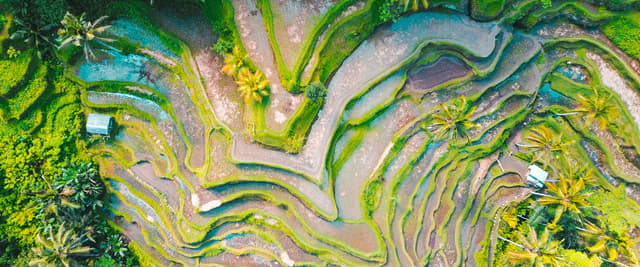 Aerial view of limestone karst cliffs rising from calm water along the Thai coastline