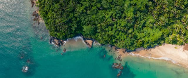 Aerial view of lush jungle meeting a secluded turquoise beach on the Mexican Pacific coast